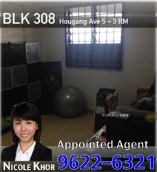 Blk 308 Hougang Avenue 5 (Hougang), HDB 3 Rooms #114440782